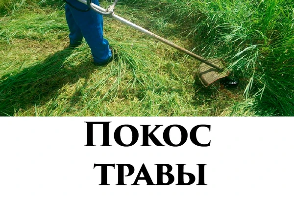 Фото Покос травы