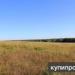 Фото №5 ⭕ЗЕМЛЯ 32га. ЛЕС, РУЧЕЙ.