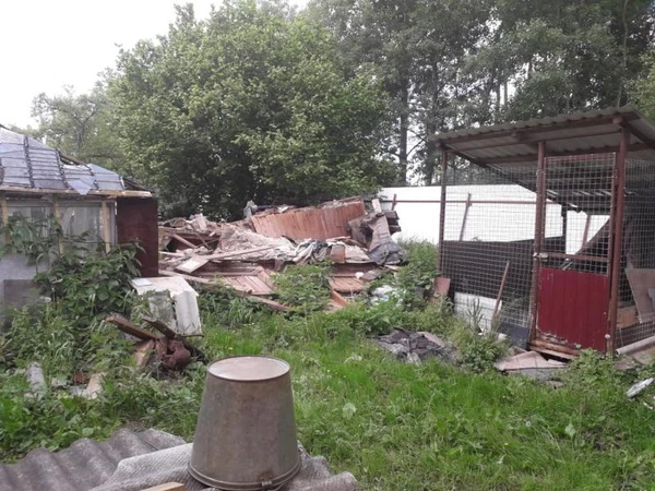 Фото Вывоз мусора 