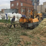 Услуги, аренда дробилки веток и деревьев в Серпухове.