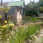 Фото №5 Лот  73919 Участок 8,5 соток . Ведение садоводства 13.