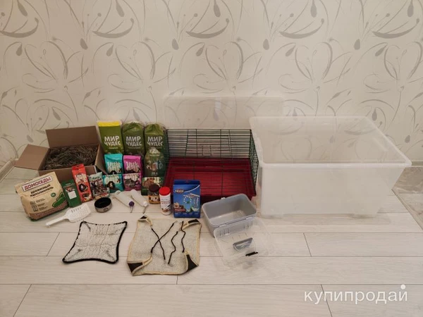 Фото Все принадлежности для ухода за грызуном