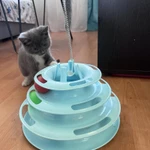 Фото №6 Котенок девочка в добрые руки