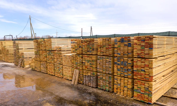 Фото ДОСKA(OБPEЗНАЯ) 50*200*6000мм Сopт - 3