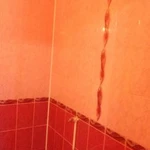 Фото №4 Плиточные работы,ремонт ванных комнат и сан узлов