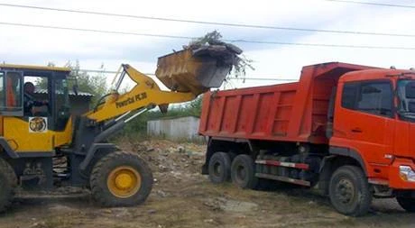 Фото Уборка и вывоз мусора, грунта