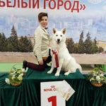 Фото №4 Дрессировка, передержка, хендлинг