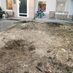 Фото №3 Спил деревьев, удаление пней, измельчение веток, вывоз