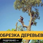 Обрезка деревьев