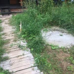 Фото №30 Озеленение и благоустройство