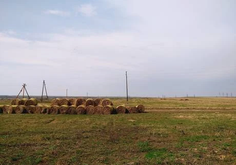 Фото Ухоженное поле с отличными подъездными дорогами