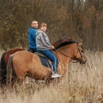 Верховая езда, конные прогулки