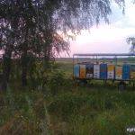 Фото №5 мед