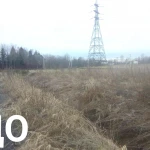 Фото №7 Расчистка участка от кустарника и деревьев. ОТЗЫВ КЛИЕНТА.