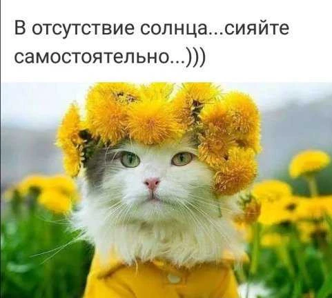 Фото Английский язык