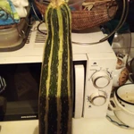 Фото №2 Огурцы соленые