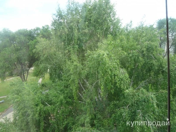 Фото 41,3 м2, 5/5 эт.