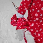 Дед мороз и снегурочка на дом