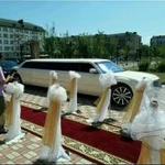 Фото №6 Караван Вайнах