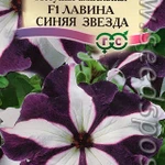 Фото №5 Рассада