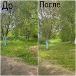 Фото №7 Покос травы, спиливание деревьев
