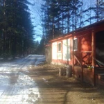 Фото №3 ПРОШЛО 2 ГОДА. Спил деревьев - КОМАРОВО. (Зеленогорск) 