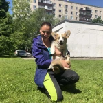 Фото №3 Дрессировка собак кинолог