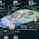 Компьютерная диагностика автомобиля