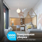 Фото №2 Генеральная уборка