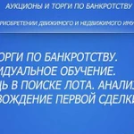 Торги по банкротству. Индивидуальное обучение