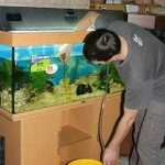 Профессиональное обслуживание аквариумов