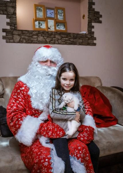 Фото Дед Мороз без снегурочки на дом для вашего ребёнка 