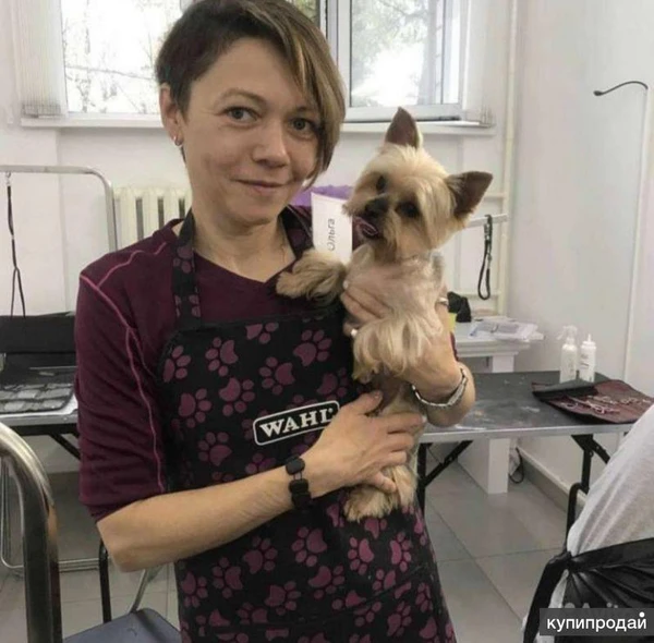 Фото Стрижка кошек с выездом на дом