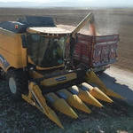 Фото №3 Жатка для уборки кукурузы HARMAK MT8 - FJB GROUP LLC