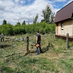 Спил деревьев в Кургане