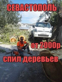 Фото Спил обрезка деревьев