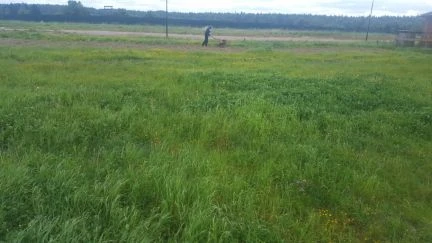 Фото Покос травы. Вспашка и выравнивание участка