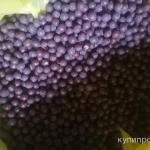 Фото №2 Крушина плоды. Цена за 100 грамм.