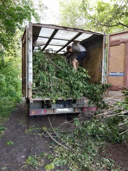 Фото Вывоз мусора