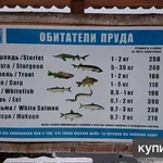 Фото №5 Хлорелла Богатый Пруд