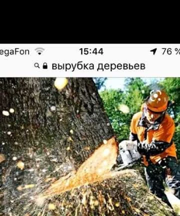 Фото Вырубка,обрезка деревьев