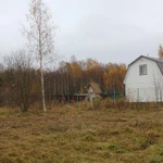 Фото №26 Расчистка участка от кустарника и деревьев. ОТЗЫВ КЛИЕНТА. 