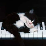 Обучение игре на фортепиано и синтезаторе