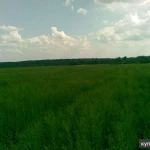 фото Земельный участок 2960 Га