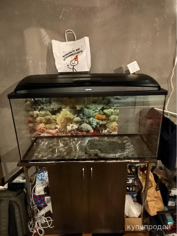 Фото Аквариум 240 мл