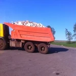 Фото №2 Дрова береза,дуб