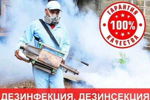 Фото Уничтожение клопов,тараканов, короеда-Бийск