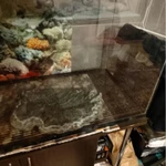 Фото №2 Аквариум 240 мл