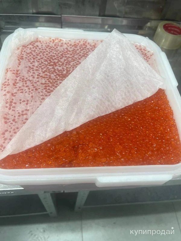 Фото Икра кеты оптом 2024