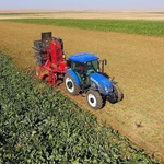 Фото №6 Свеклоуборочный комбайн HARMAK PHM 02 - FJB GROUP LLC